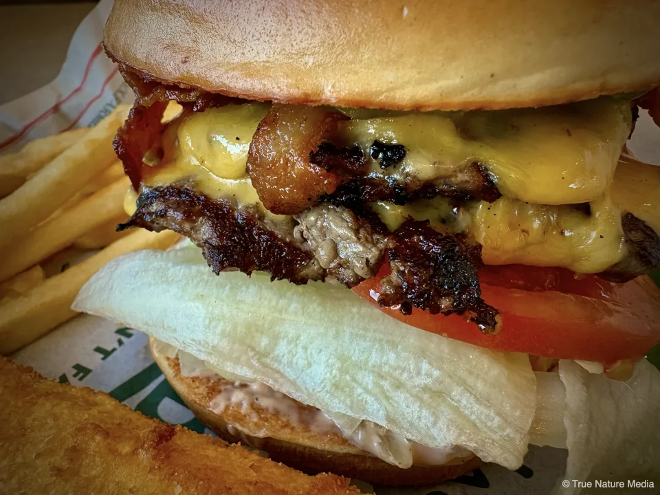 FarmerBurgerTomatoCloseup.webp