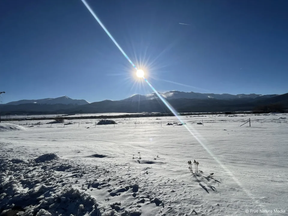 mtelbert_2400_1800.webp