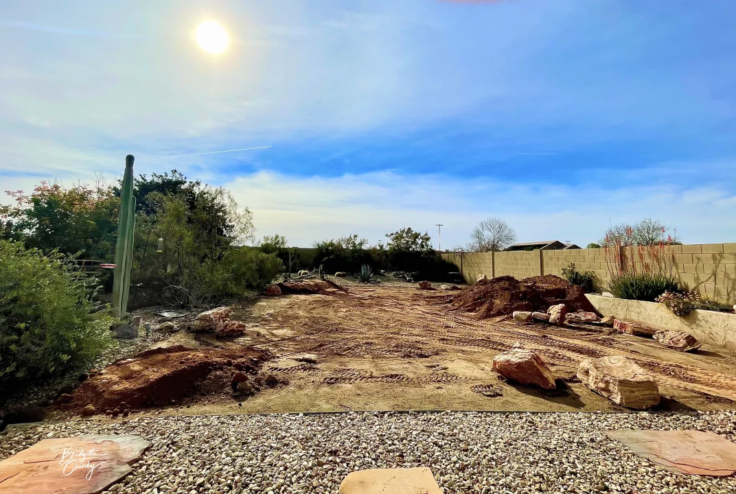 Backyard Revamp